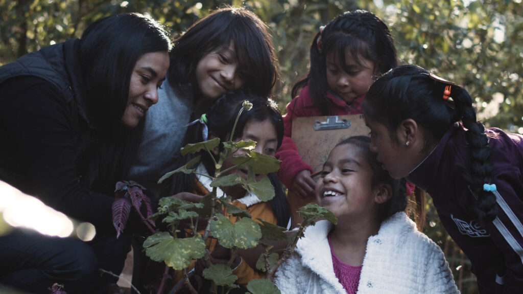Five children and one adult gather closely outdoors, smiling and looking at a leafy plant in a natural, sunlit setting.